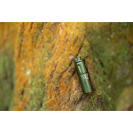 Olight iXV 180lm - OD Green