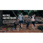 Лампа-маркер Olight Gober KIT 2-синя